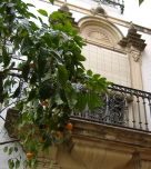 balcon-venera